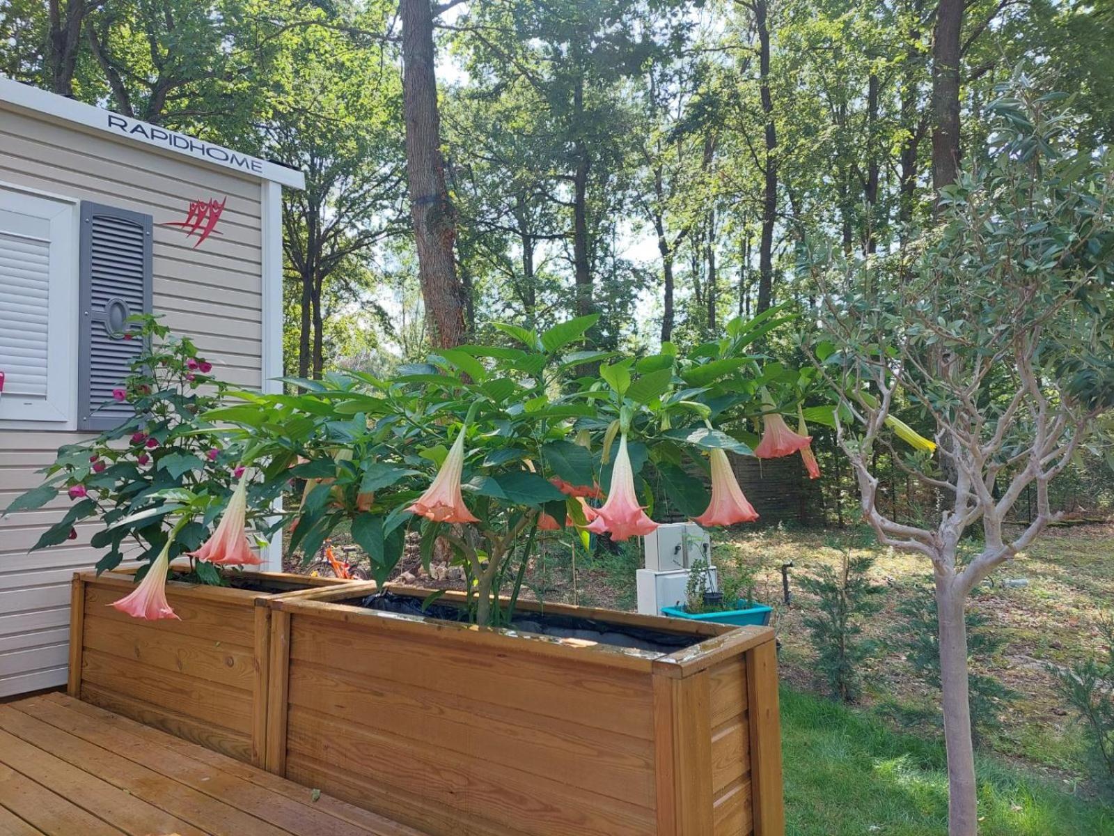 Mobil-home Spacieux Et Confortable Avec Terrasse Bien Exposee